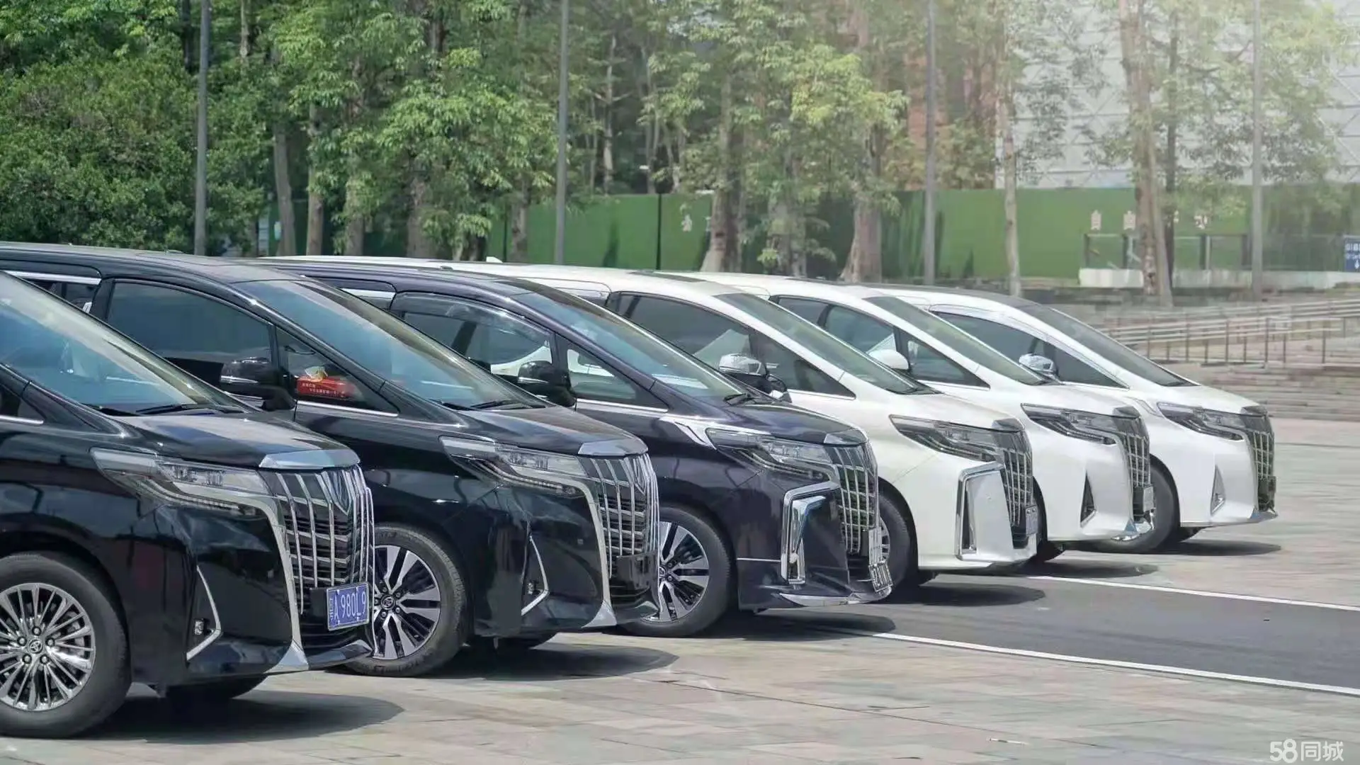 天脈汽車租賃，二十年如一日