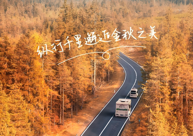 南京天脈租車：二十載品質堅守，安全與服務的雙重保障