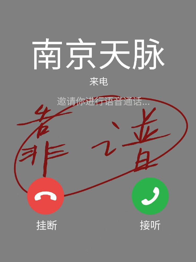 南京天脈車隊：深耕本地市場，以專業服務打造租車行業標桿